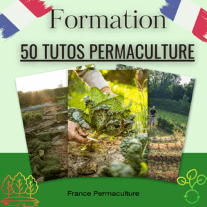 Formation permaculture