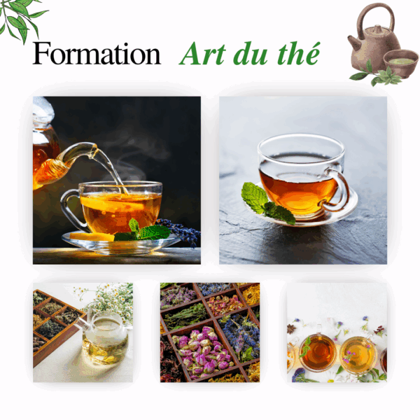 Formation thé