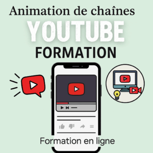 Animation de chaînes YouTube Formation