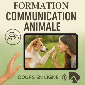 Communication animale
