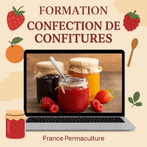 Confection de confitures