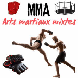 entrainement mma