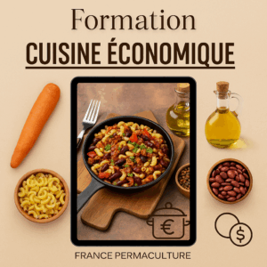 Cuisine économique