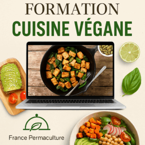 Cuisine vegan