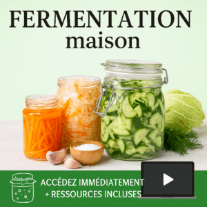 Formation Fermentation maison