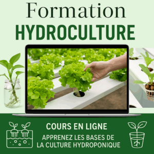 Formation Hydroculture