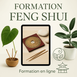Formation Feng Shui