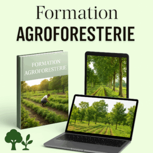 Formation agroforesterie