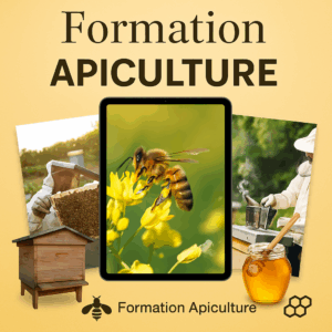 Formation apiculture