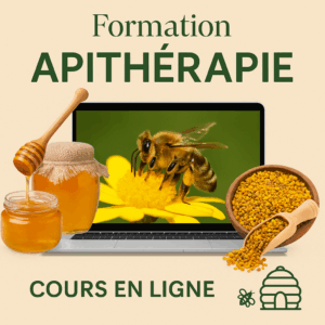 Formation apitherapie
