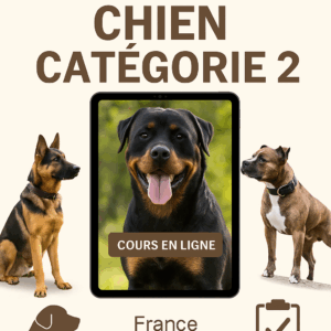 Formation chien catégorie 2