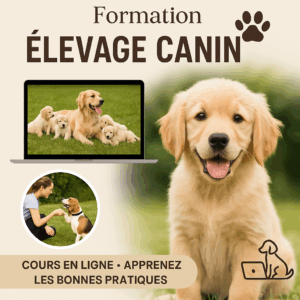 Formation elevage canin