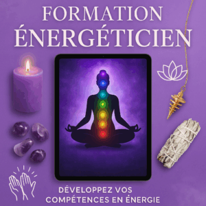 Formation energeticien