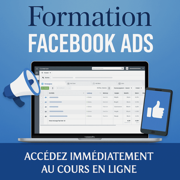 Formation facebook ads