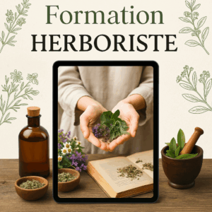 Formation herboriste