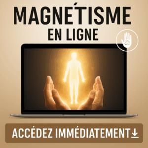 Formation magnétisme en ligne