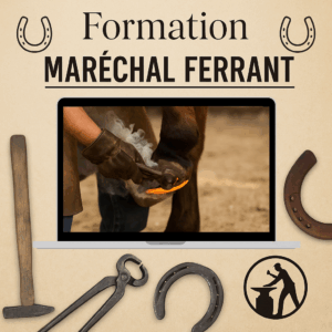 Formation marechal ferrant