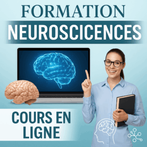 Formation neurosciences
