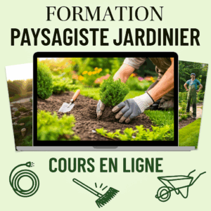 Formation paysagiste jardinier