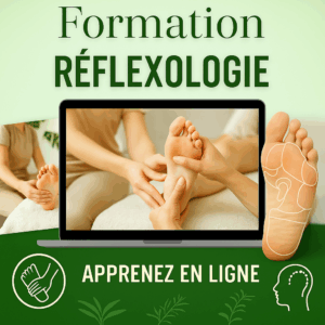 Formation réflexologie