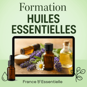 Formation sur les huiles essentielles
