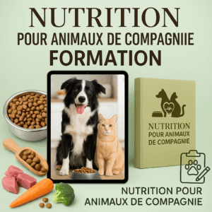 Nutrition pour animaux de compagnie formation