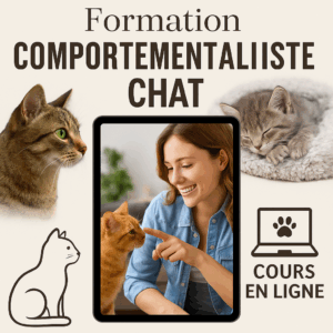 formation comportementaliste chat