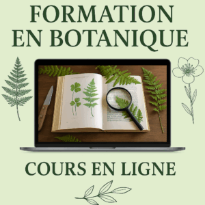 formation en botanique